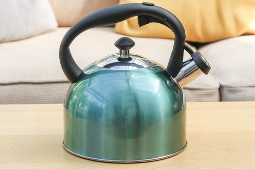 Amazon basics stainless steel - amazon,