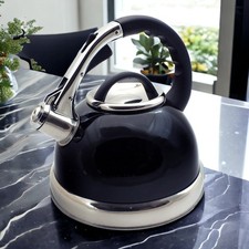3.5L Whistling Stovetop Kettle