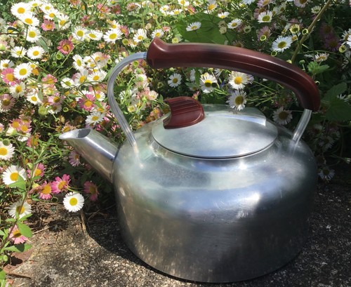 Swan 1930 kettle art - art, deco
