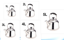 Stainless Steel Tea Kettle for